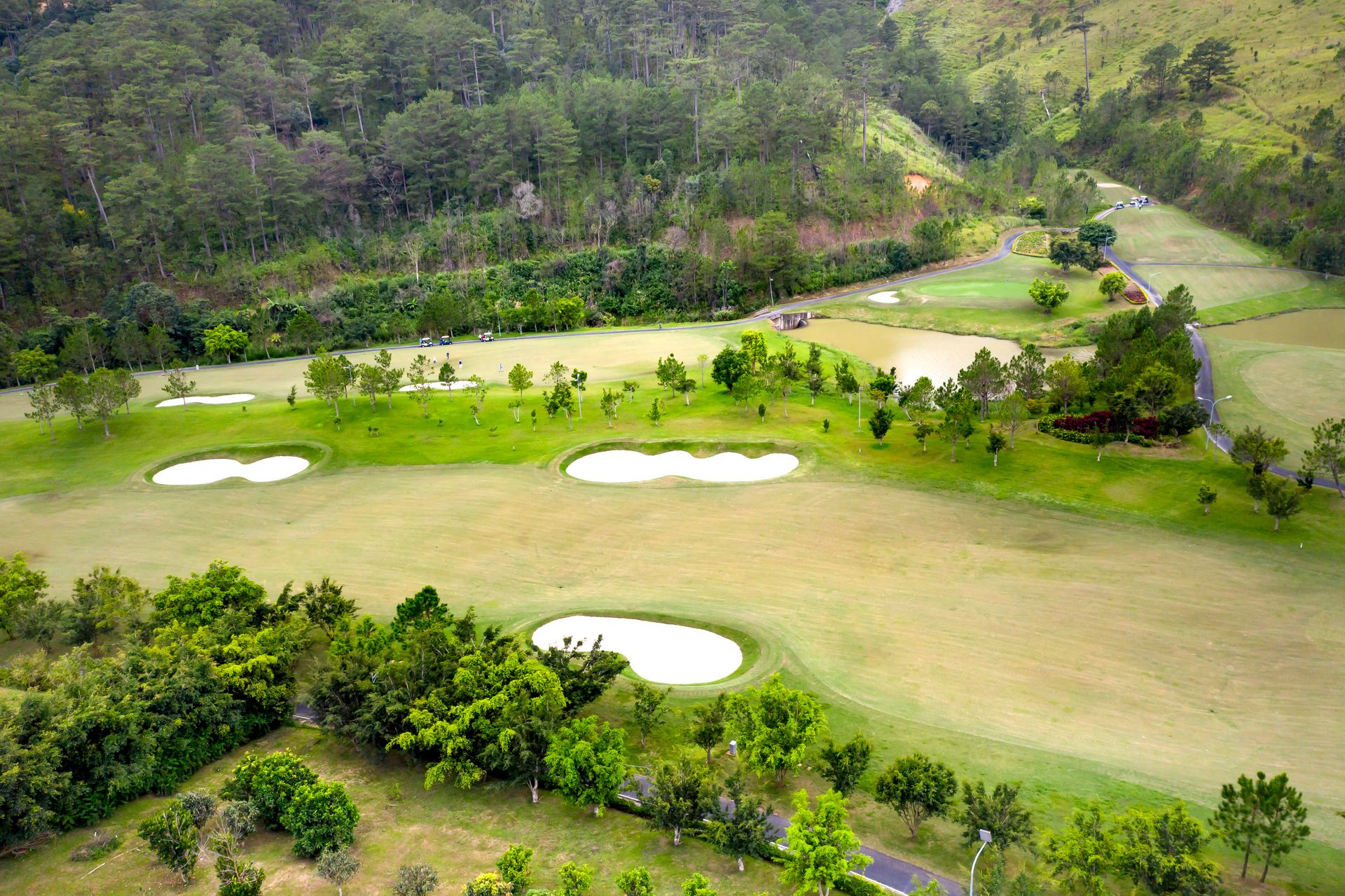 Aerial view of golf course